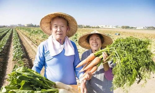 退休金4200的我，在農村嫂子家看到的另一種富足